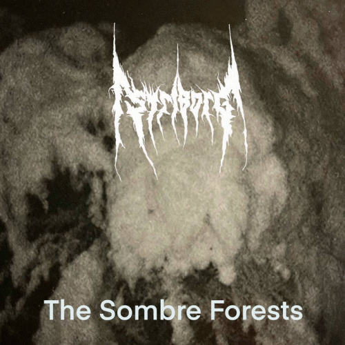 Striborg : The Sombre Forests